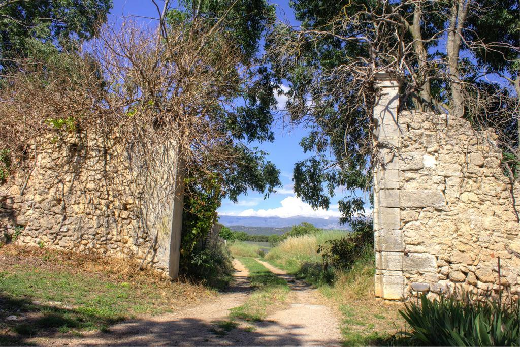 La Colombiere Du Chateau Сан-Лоран-дю-Вердон Екстериор снимка